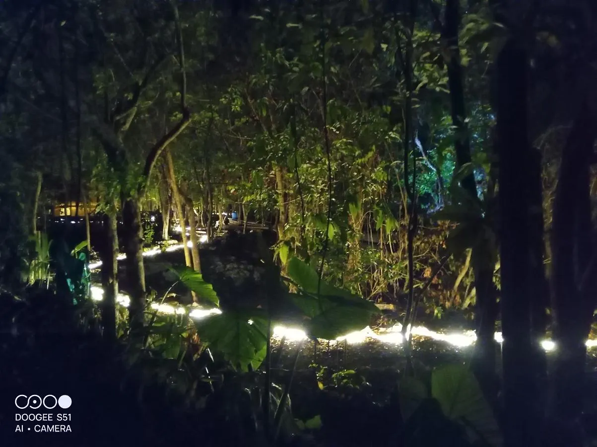 Luxury tent Cozumel Glamping Hotel