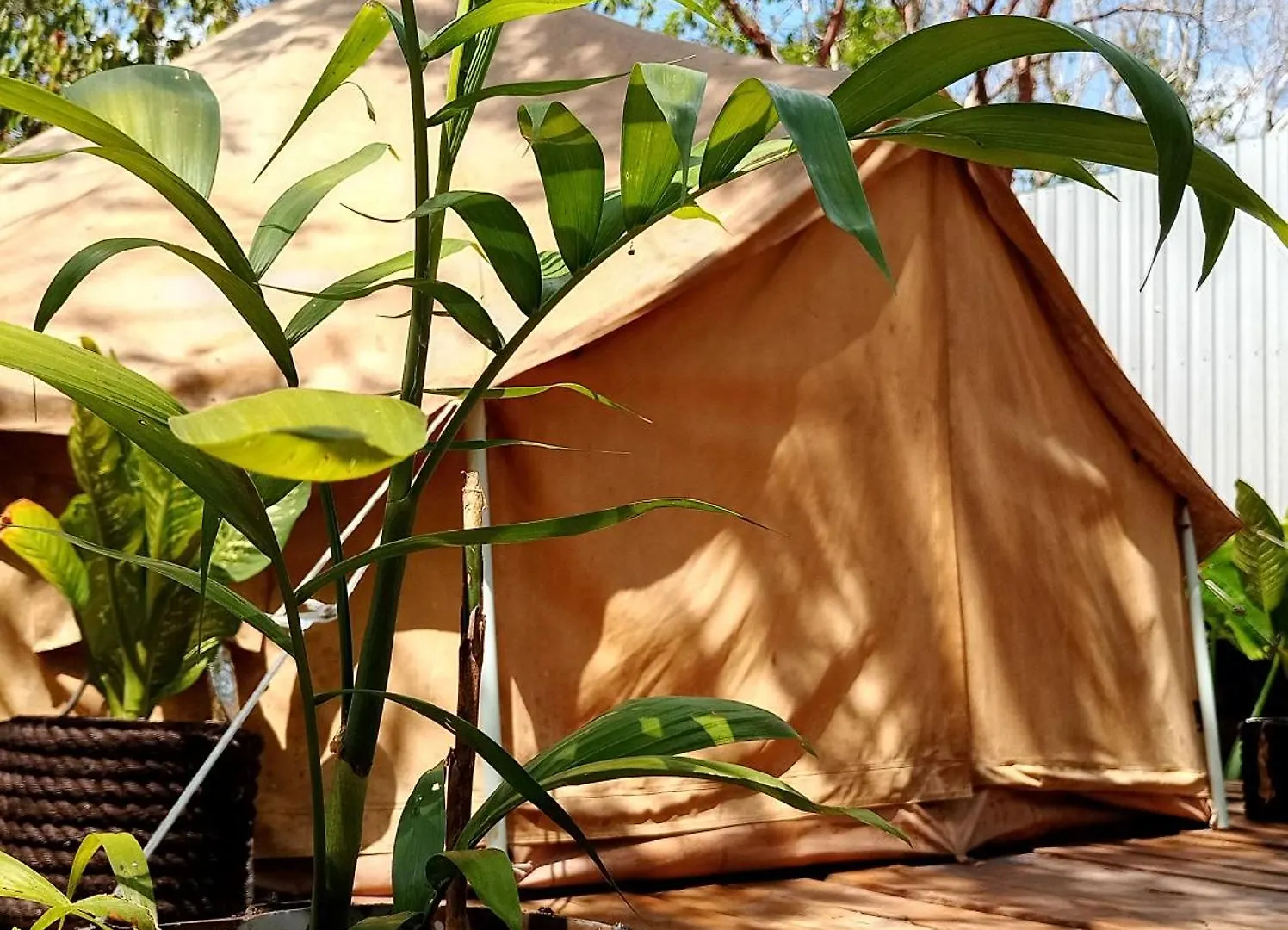 Luxury tent Cozumel Glamping Hotel