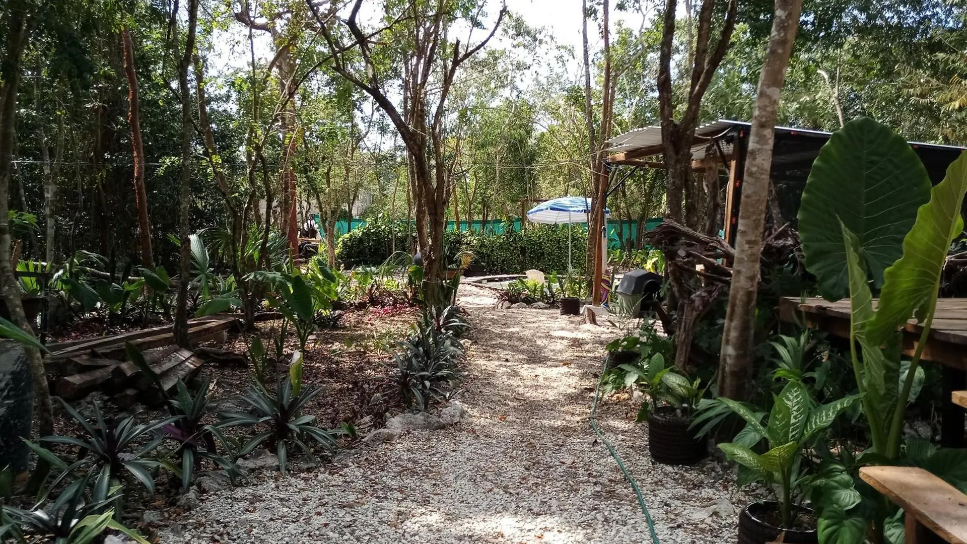 Cozumel Glamping Hotel Luxury tent