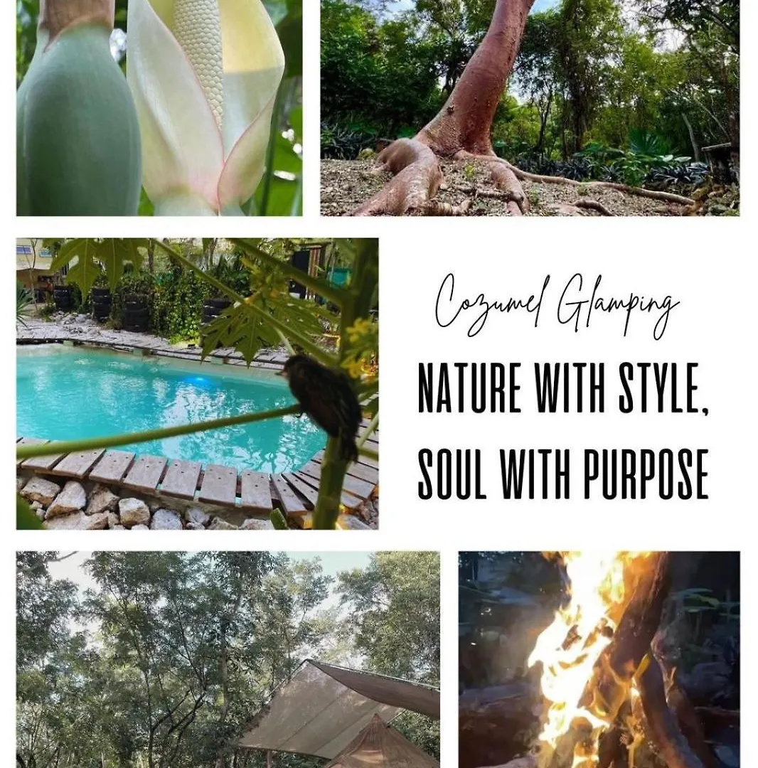 Cozumel Glamping Hotel 0*,