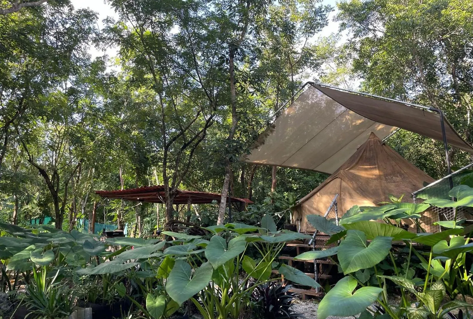 Luxury tent Cozumel Glamping Hotel