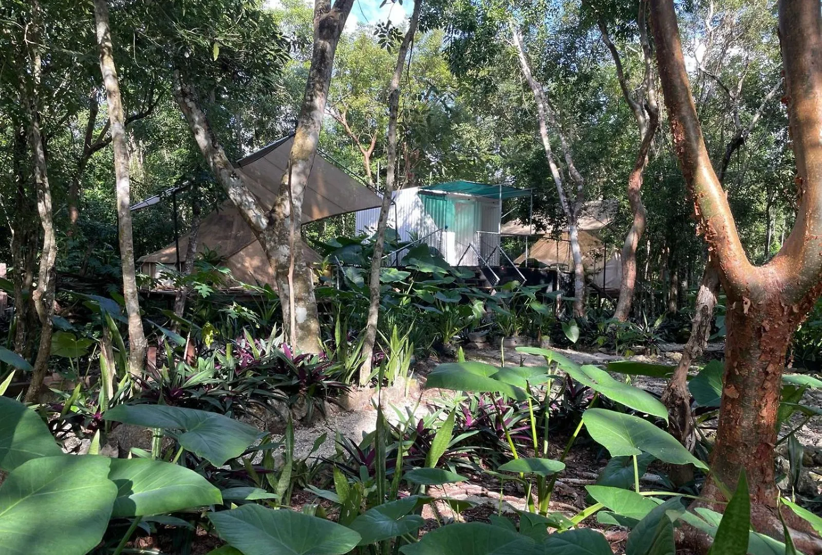 Cozumel Glamping Hotel