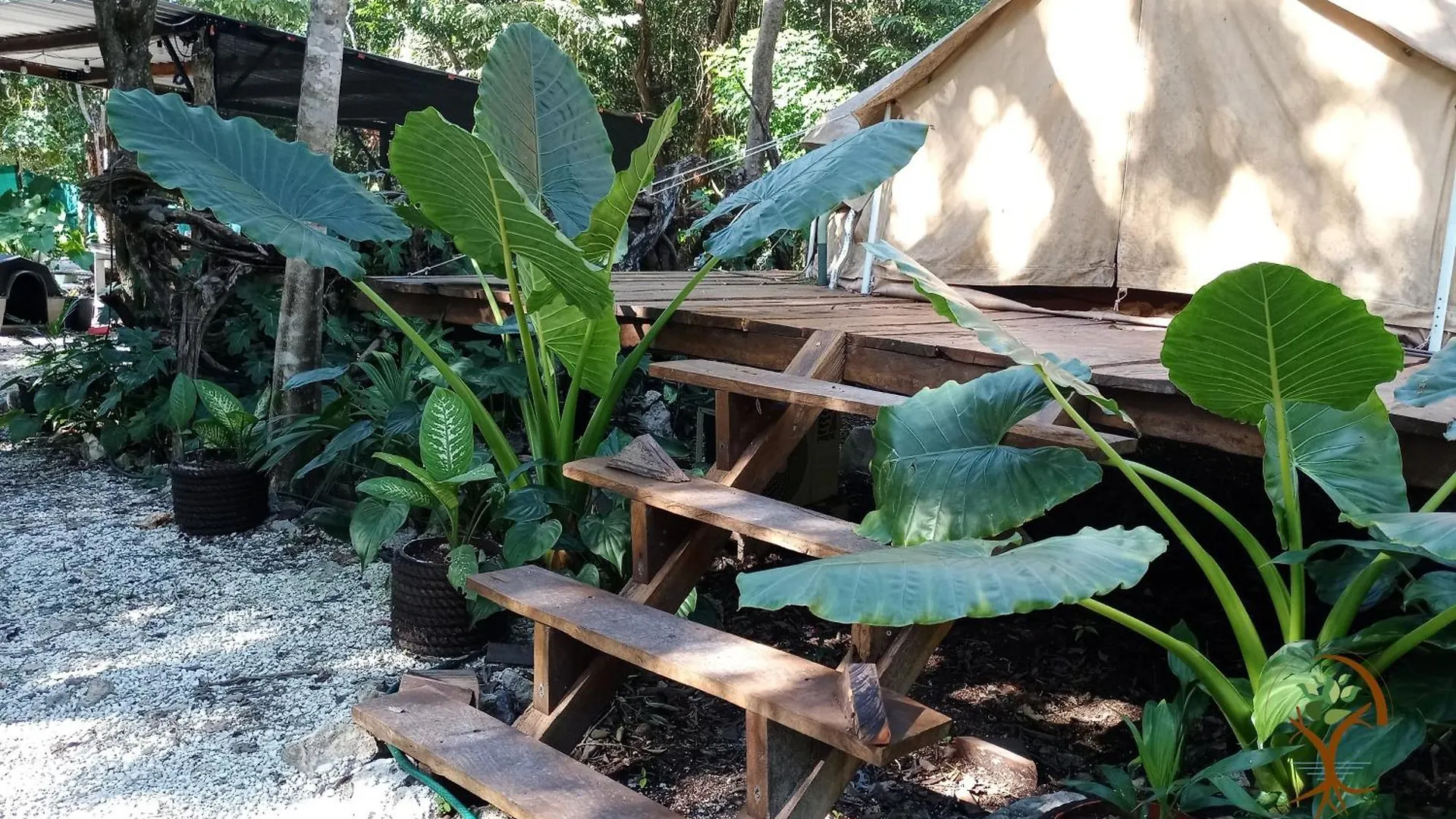 Luxury tent Cozumel Glamping Hotel Mexico