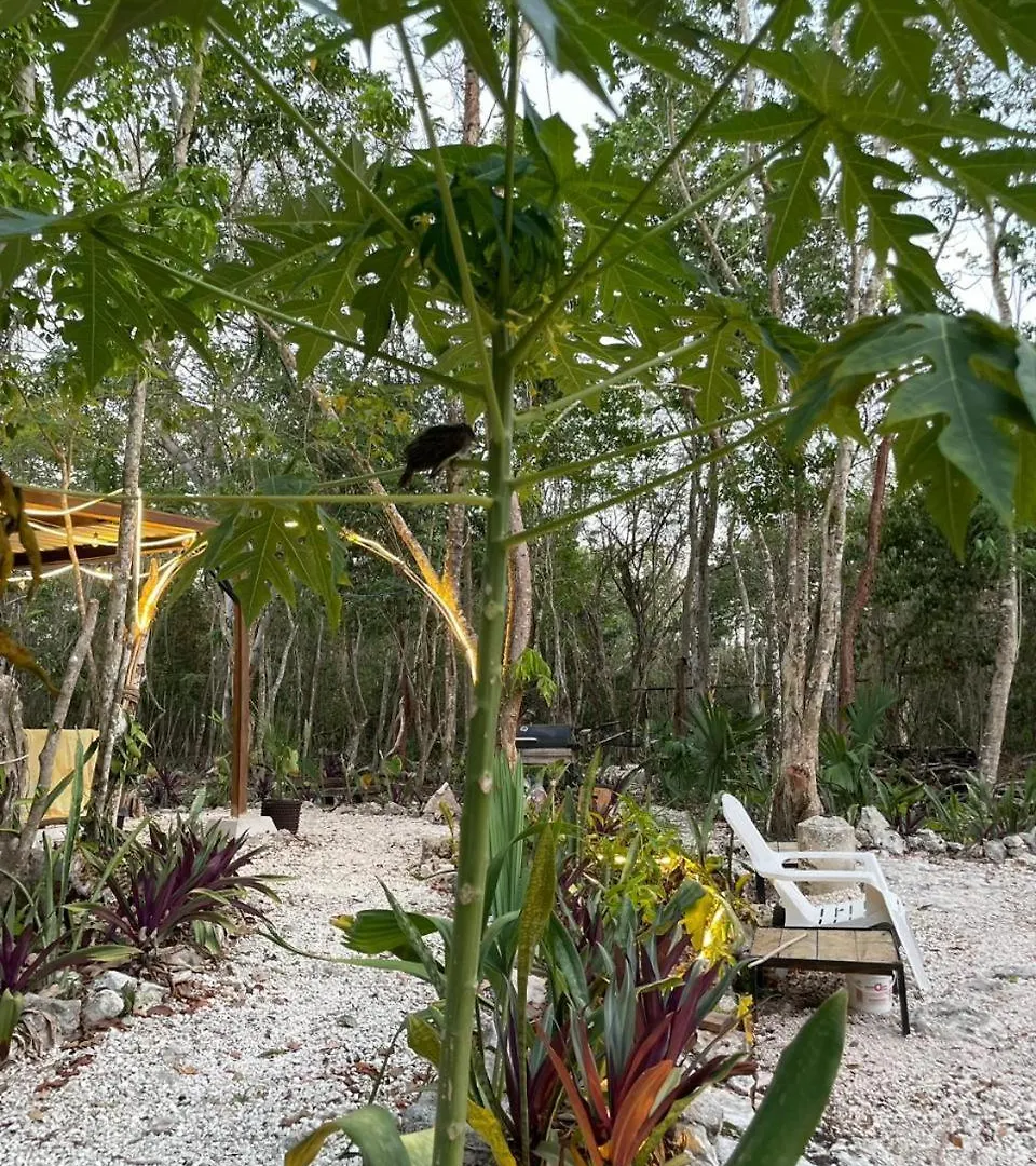 Cozumel Glamping Hotel