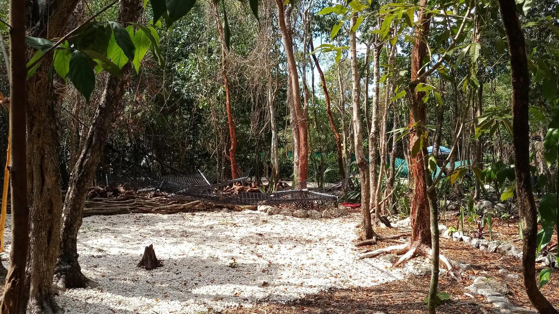 Cozumel Glamping Hotel