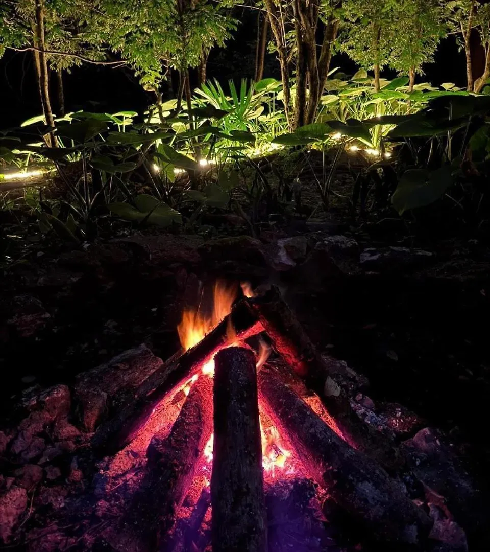 Cozumel Glamping Hotel 0*,  Mexico