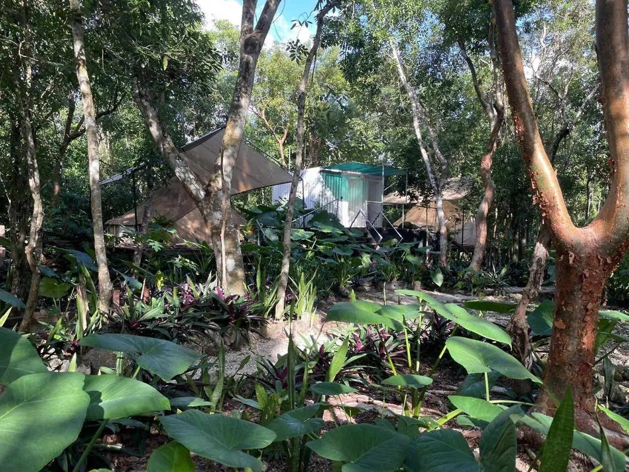 Cozumel Glamping Hotel