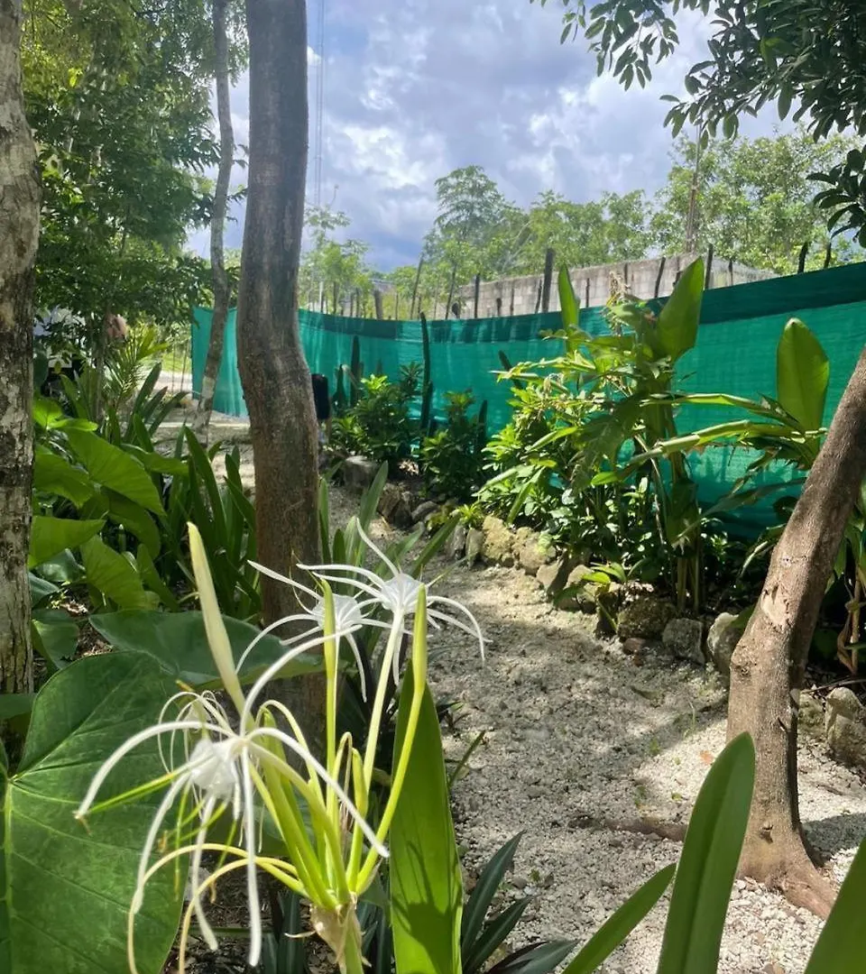 Luxury tent Cozumel Glamping Hotel Mexico