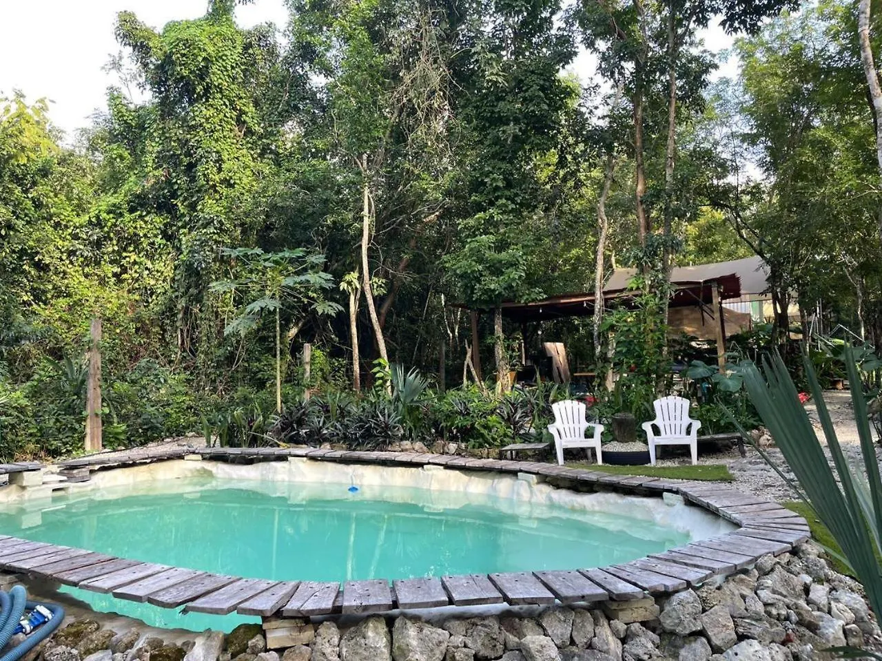 Cozumel Glamping Hotel