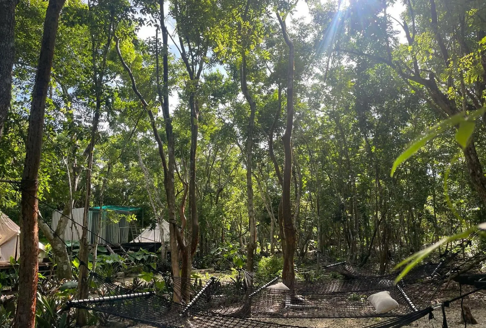 Cozumel Glamping Hotel 0*,  Mexico